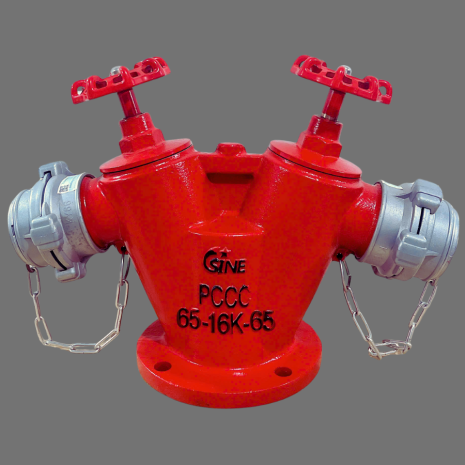 Họng tiếp nước D65 - PCCC